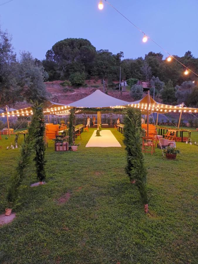 Casa D'Auleira Villa Ponte da Barca Eksteriør billede